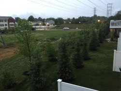 Just hanging out the back window,  enjoying the third thunderstorm