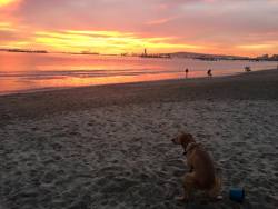 welele:Así que quieres hacer una bonita foto del atardecer.Sería