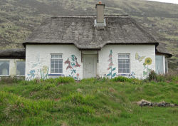 fieldsinireland:  Cottage, Valentia Island, Kerry, Ireland by