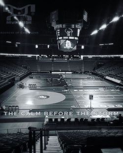 myhousesportsgear:  The Calm before the storm… Photo taken