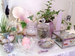 floralwaterwitch:  ~ one of my lovely little altars 🌿🌸🐚✨