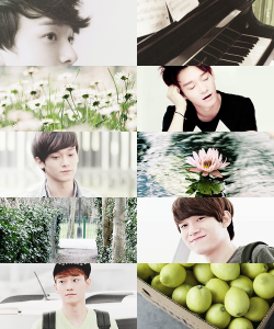 viitakissme:  If EXO were months  →  Chen as July   