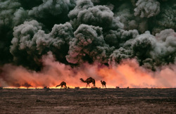 rawjournalism:  Photo by Steve McCurry   |   Kuwait   |  
