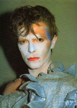 db-ninja:David Bowie