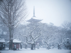 okuribito:  snowy temple or temple in snow 3 (by torne (where’s