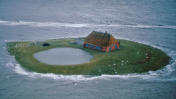 shelterpub:  Hallig Habel, a farm in northern Germany on the