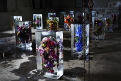 hypebeast:  Iced Flowers by Azuma Makoto http://hypebeast.com/hb1k2uk