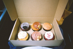 paularoidmoments:  by themorningtrain on Flickr. 