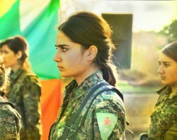 bijikurdistan:  Kurdish YPG/YPJ Women Fighters