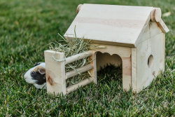 littlealienproducts:  Handmade Piggy Stable by  PiggyPlayYard