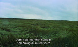 sacredwhores:  Werner Herzog - The Enigma of Kaspar Hauser (1974)