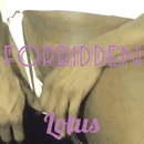 forbiddenlotus:  Want to play???….forbiddenlotus.com  What a masterpiece…