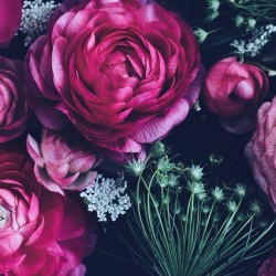 floralls:      by  katherinedorrington    