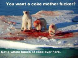 thebest-memes:  “Want some Coke?”