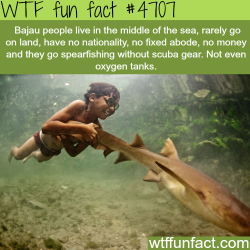 wtf-fun-factss:  Bajau people, the people that live in the middle