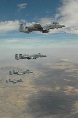 Warthogs do fly