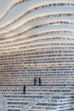 kinkeryandgeekery: alicestardis:   bibliotheca-sanctus:   Tianjin