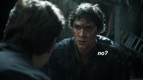 westerlingss:  sara watches the 100 