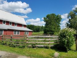 I was able to visit vegan Skyland Sanctuary, in NJ today! It’s
