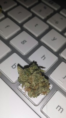 stonedscorpiotbh:  the-bud-dhist was the one who told me about