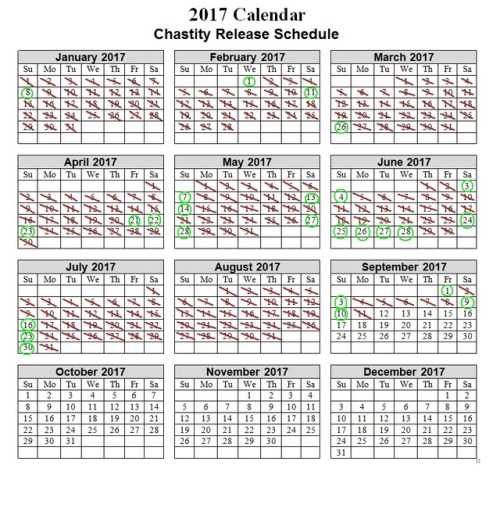 Someone had asked me how often I was allowed out of chastity. The green circles are my actual release dates so far this year. Longest consecutive days locked was from Feb 12 - March 26 a period of 42 days. At the beginning of August I turned in an assignm