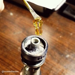 ocweedreview:  It’s always a good time for dabs.