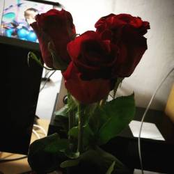 Got nice roses for womans day ^_^ #flower #roses #womansday #internationalwomansday