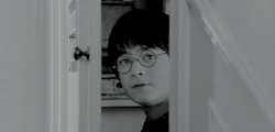 llogans:  “And under here, Hedwig -” Harry pulled open a