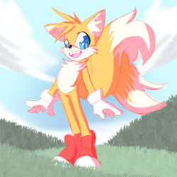 toribirdwitch:Drew tails from sonic!! Hes a cute! <3