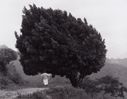 flashofgod: Flor Garduño, El arbol de Yalalag, Mexico, 1983.