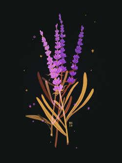 samanthamashillustration: The lavender held memories, the eucalyptus