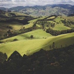 natureconservancy:  “The earth has music for those who listen.”