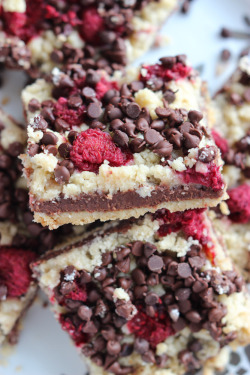 sweetoothgirl:  Chocolate Fudge and Raspberry Bars