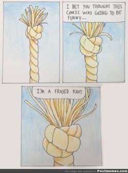 postmemes:  Rope Being Punny