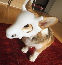 awwww-cute:  Cubone Cosplay (Source: http://ift.tt/2aWTRmS) 