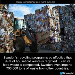 mindblowingfactz:    Sweden’s recycling program is so effective