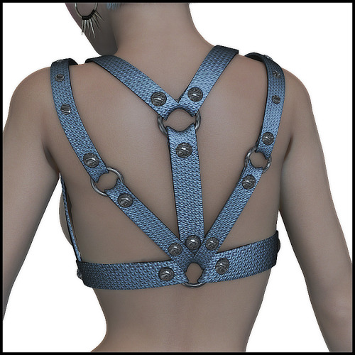 	Add cool new items to Victoria 4’s wardrobe.  	Ideal for scifi, fetish or post apocalyptic scenes, our Shadow Harness won’t fail.  	   	You get:  	-conforming Harness for Victoria 4  	-conforming Nipple Piercings for Victoria 4  	-6 Mats