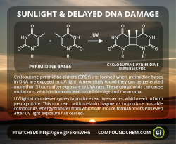 compoundchem:  A study this week found that DNA damage as a result