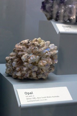ifuckingloveminerals:  [Pineapple] Opal White Cliffs, New South,