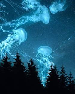 sound-dream: Psychedelic surrealist art jellyfish
