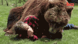 blazepress:  The level of trust is too damn high!