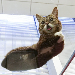 bublog:  That one time BUB hovered. 