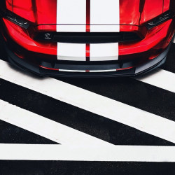 automotivated:  #tbt to when I photographed the @ford Shelby