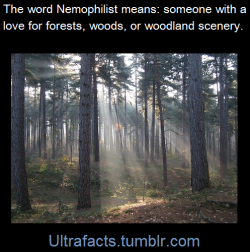 ultrafacts:Nemophilist (pronounced  ne-‘mo-fe-list)  means