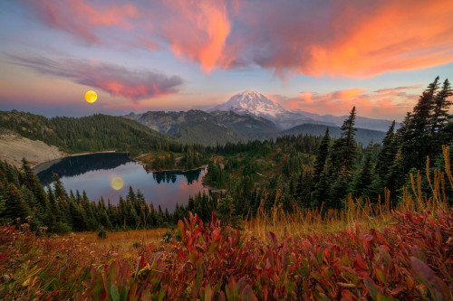 expressions-of-nature:Mount Rainier National Park, WA by Erwin