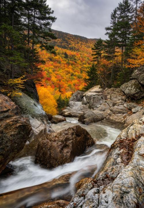 amazinglybeautifulphotography:Fall in the White Mountains, New