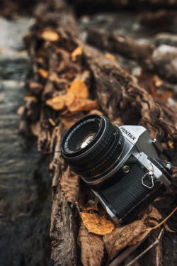 therednative:  stayfr-sh:  Pentax In The Wild  This  ♡♡♡