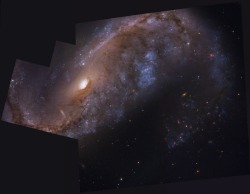 gravitationalbeauty:  NGC 2442: Galaxy in Volans  