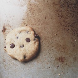 emtothethird:  I ACCIDENTALLY MADE THE CUTEST COOKIE IN THE WHOLE