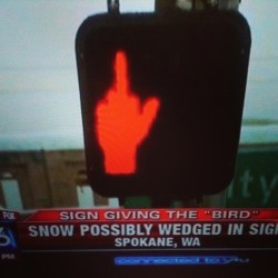 Some people have too much empty time. #smh #funny #thefinger